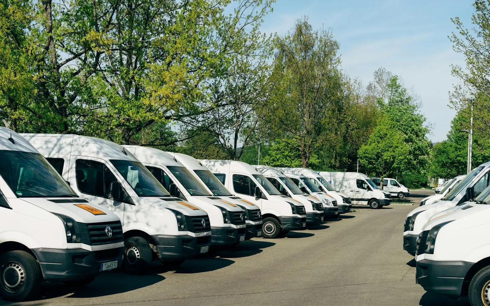 Row of white delivery vans parked in a depot under trees