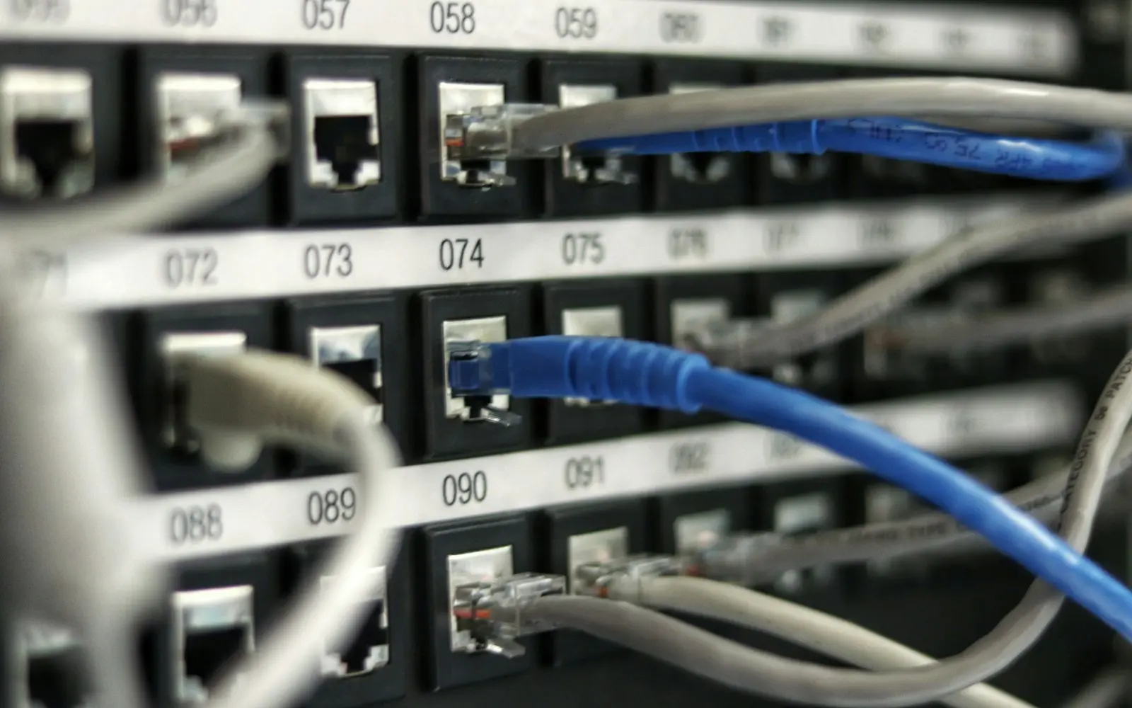 Blue and grey network patch cables plugged into a numbered patch panel